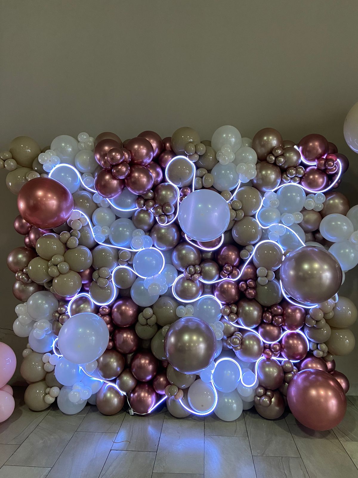 Pared de Globos Orgánica con Luces LED